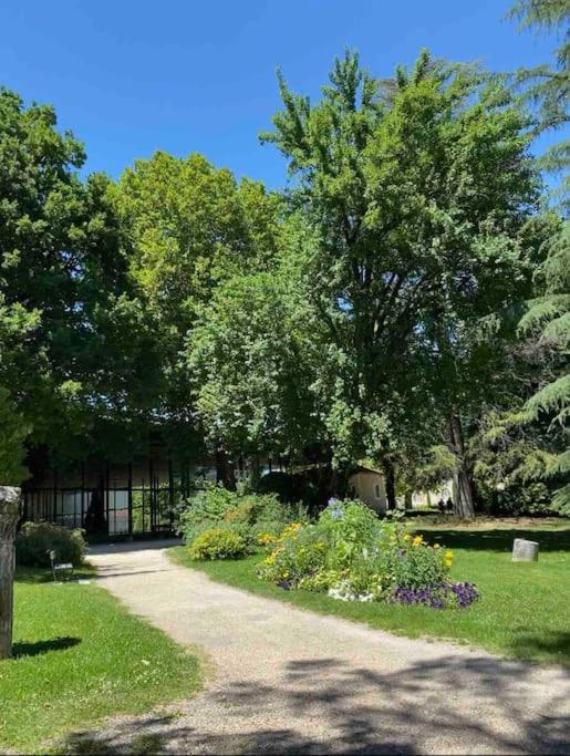 Appartement Familial Proche D'Un Site Historique 佩里格 外观 照片
